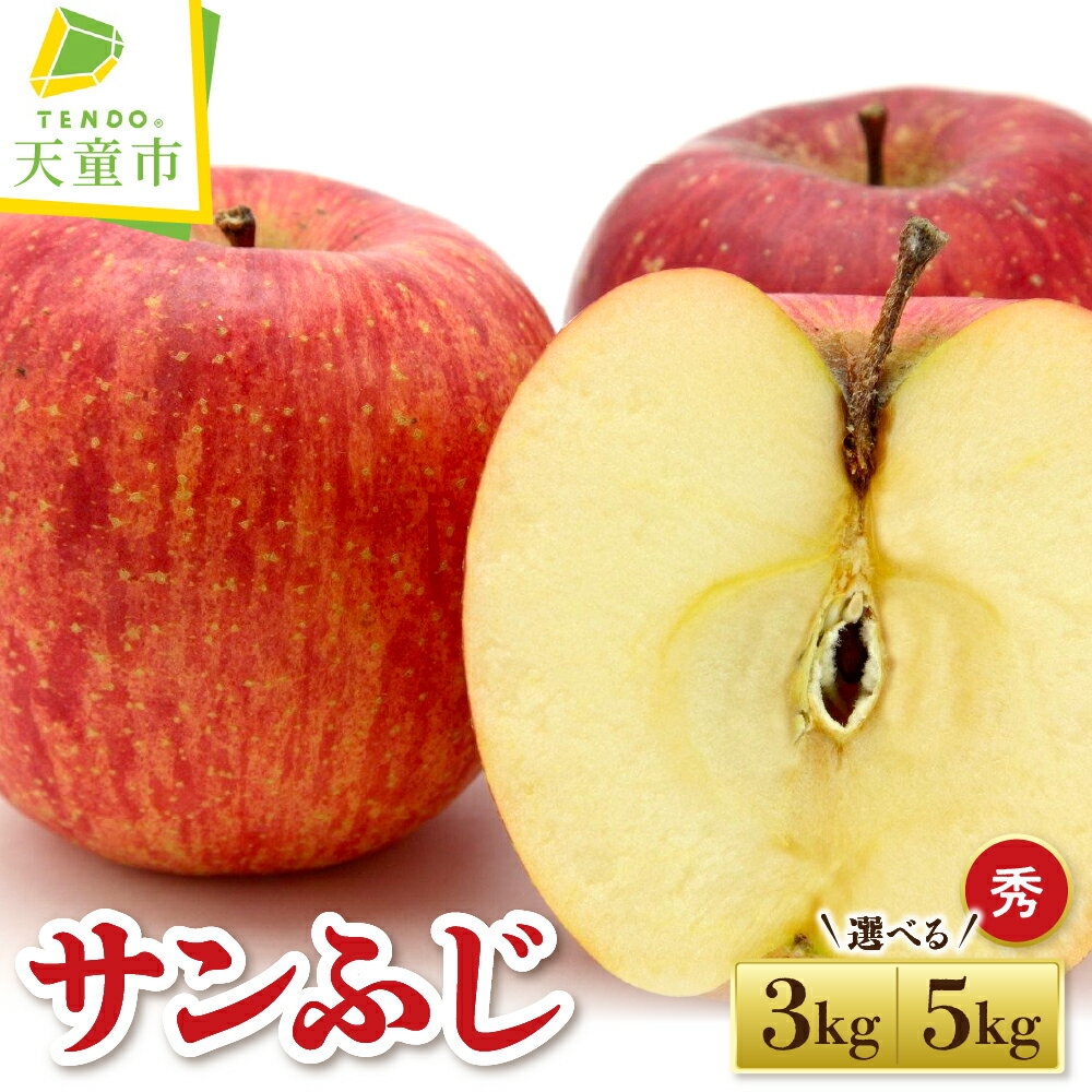りんご ( サンふじ ) 選べる 3kg / 5kg ふじ りんご 果物 フルーツ 秀 のし 贈答 ギフト プレゼント おすそ分け お取り寄せ 旬 秋 冬 期間限定 産地直送 送料無料 先行予約 【 山形県 天童市 】