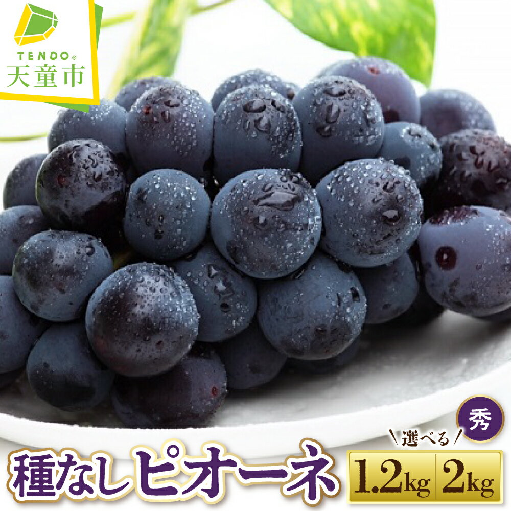 ぶどう ( 種なし ピオーネ ) 選べる 1.2kg / 2kg 令和8年産 先行予約 2026年 山形県産 葡萄 果物 フルーツ のし 贈答 ギフト プレゼント おすそ分け 秋 旬 期間限定 冷蔵便 送料無料 産地直送 お取り寄せ 【 山形県 天童市 】