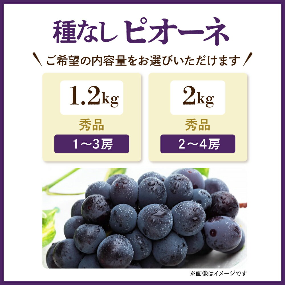 【ふるさと納税】ぶどう ( 種なし ピオーネ ) 選べる 1.2kg / 2kg 令和8年産 先行予約 2026年 山形県産 葡萄 果物 フルーツ のし 贈答 ギフト プレゼント おすそ分け 秋 旬 期間限定 冷蔵便 送料無料 産地直送 お取り寄せ 【 山形県 天童市 】 サムネイル2