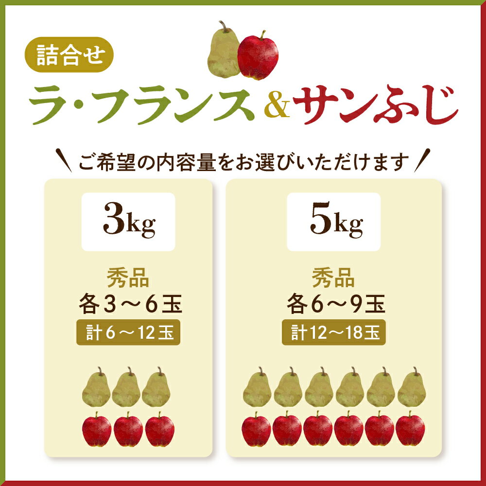 【ふるさと納税】 ラ・フランス & サンふじ 詰合せ 3kg / 5kg ラフランス 洋梨 西洋梨 ふじ りんご 果物 フルーツ セット 秀 のし 贈答 ギフト プレゼント おすそ分け お取り寄せ 旬 秋 冬 期間限定 送料無料 先行予約 【 山形県 天童市 】 サムネイル2