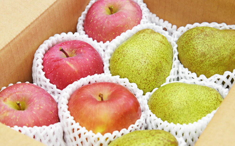 【ふるさと納税】 ラ・フランス & サンふじ 詰合せ 3kg ラフランス 洋梨 西洋梨 ふじ りんご 果物 フルーツ セット 約 9玉 〜 13玉 のし 贈答 ギフト プレゼント おすそ分け お取り寄せ 旬 秋 冬 期間限定 送料無料 先行予約 【 山形県 天童市 】 サムネイル2