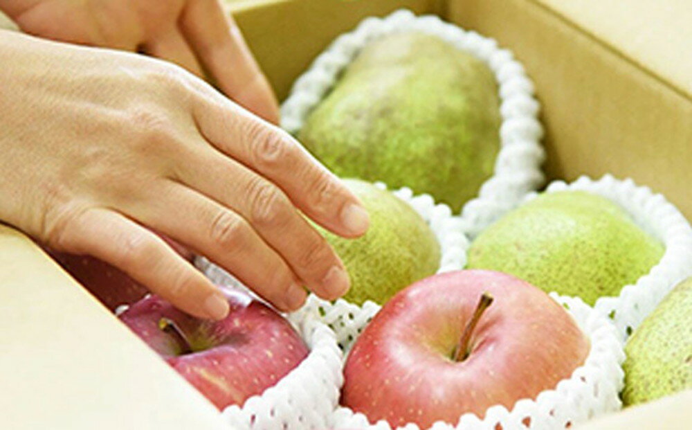 【ふるさと納税】 ラ・フランス & サンふじ 詰合せ 3kg ラフランス 洋梨 西洋梨 ふじ りんご 果物 フルーツ セット 約 9玉 〜 13玉 のし 贈答 ギフト プレゼント おすそ分け お取り寄せ 旬 秋 冬 期間限定 送料無料 先行予約 【 山形県 天童市 】 サムネイル3