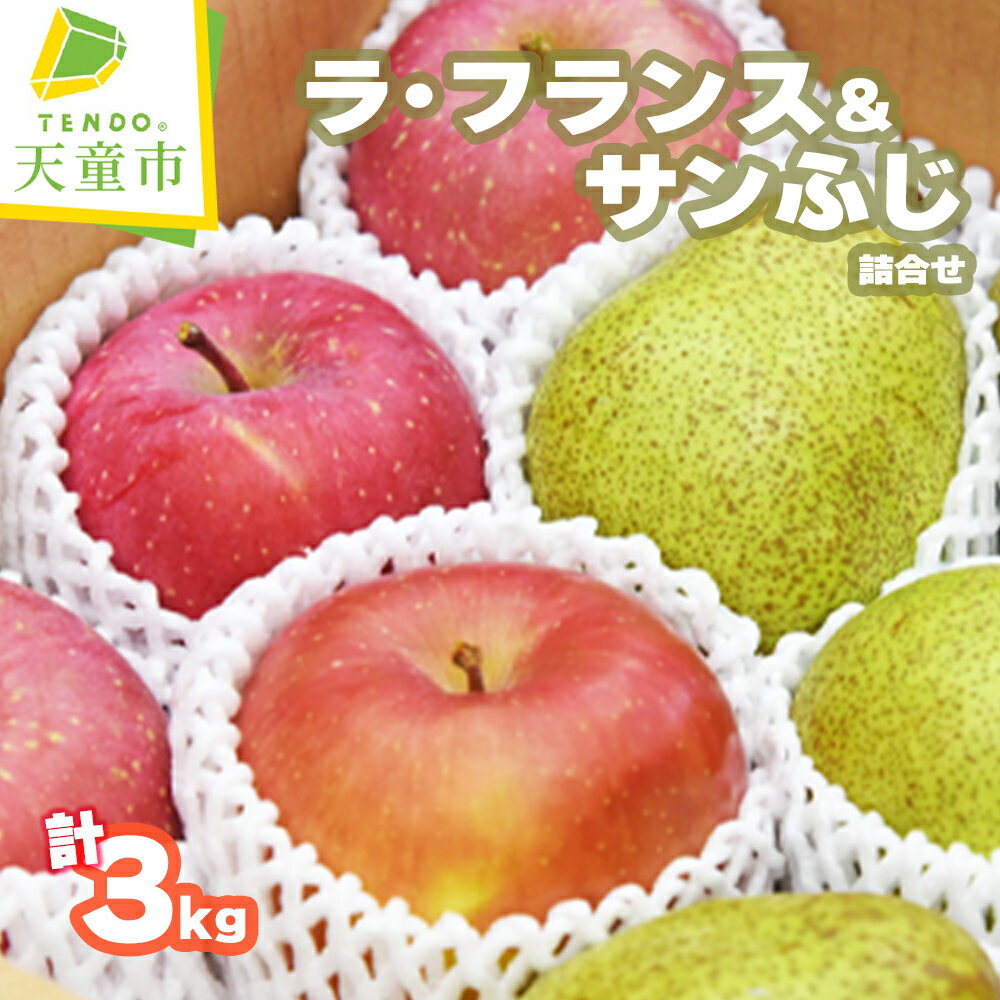 ラ・フランス & サンふじ 詰合せ 3kg ラフランス 洋梨 西洋梨 ふじ りんご 果物 フルーツ セット 約 9玉 〜 13玉 のし 贈答 ギフト プレゼント おすそ分け お取り寄せ 旬 秋 冬 期間限定 送料無料 先行予約 【 山形県 天童市 】