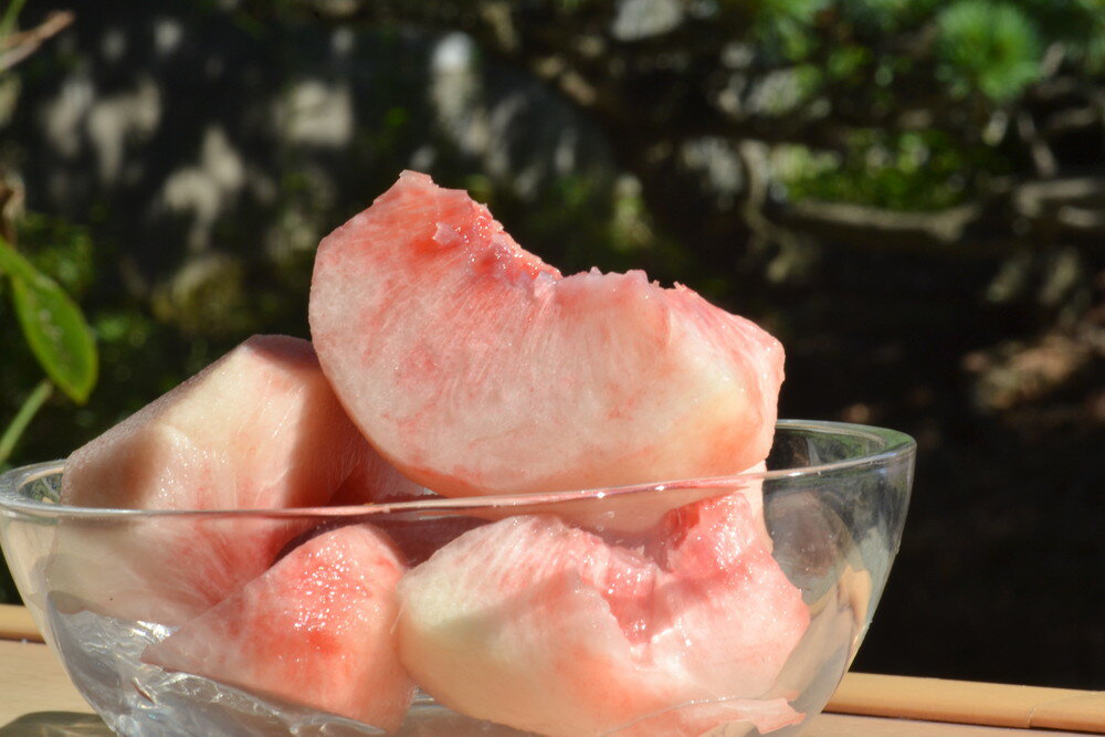 【ふるさと納税】白桃 ( 品種 おまかせ ) 選べる 2kg / 3kg 秀品 令和8年産 先行予約 2026年 山形県産 桃 果物 フルーツ のし 贈答 ギフト おすそ分け 期間限定 冷蔵便 送料無料 産地直送 お取り寄せ 【 山形県 天童市 】 サムネイル3