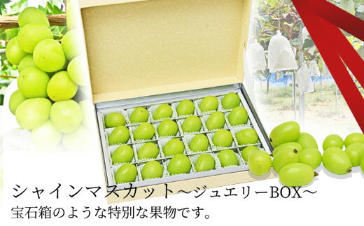【ふるさと納税】ぶどう ( シャインマスカット ) ジュエリーボックス 24粒 入り 令和8年産 先行予約 2026年 ぶどう 贈り物 人気 おすすめ フルーツ 果物 くだもの 山形 お取り寄せ 食べ比べ 産地直送 送料無料 【 山形県 天童市 】 サムネイル2