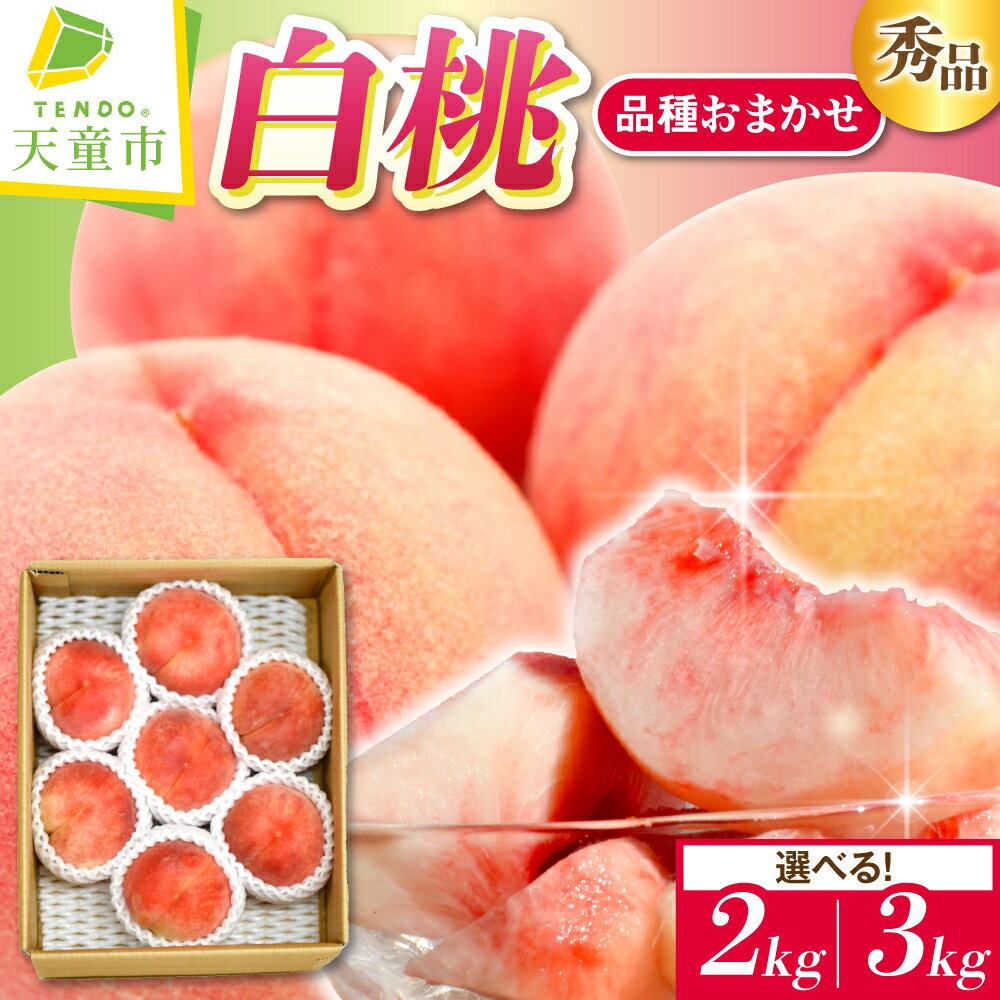 白桃 ( 品種 おまかせ ) 選べる 2kg / 3kg 秀品 令和8年産 先行予約 2026年 山形県産 桃 果物 フルーツ のし 贈答 ギフト おすそ分け 期間限定 冷蔵便 送料無料 産地直送 お取り寄せ 【 山形県 天童市 】