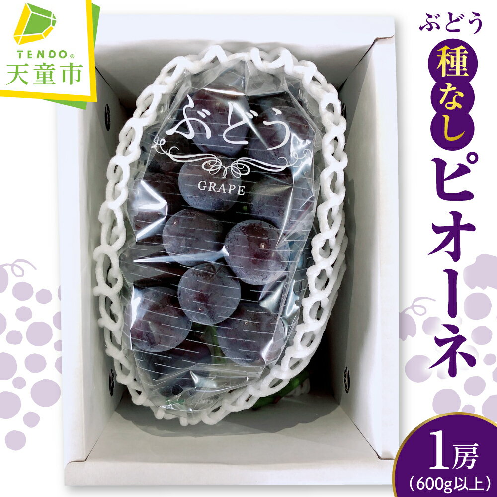 ぶどう ( 種なし ピオーネ ) 600g 以上 1房 令和8年産 先行予約 2026年 葡萄 人気 おすすめ フルーツ 果物 くだもの 山形 お取り寄せ 産地直送 送料無料 【 山形県 天童市 】