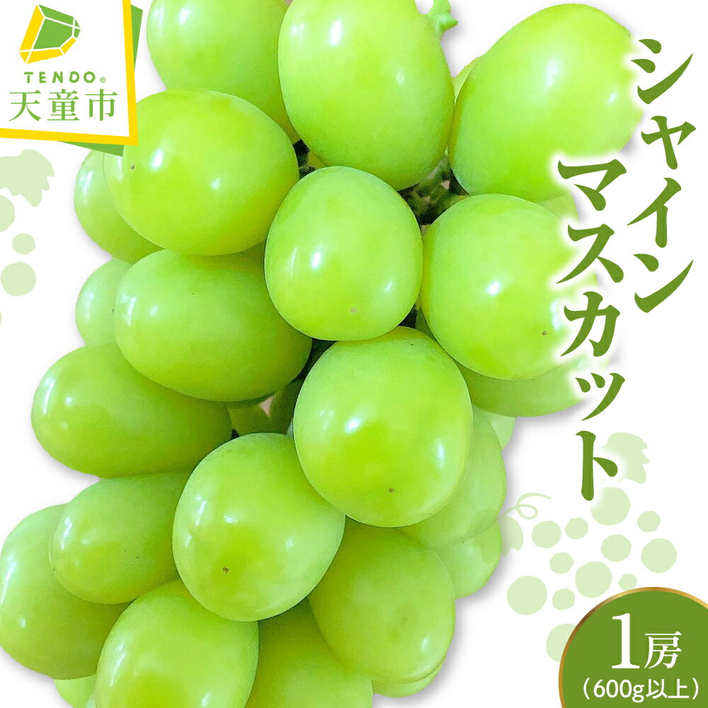 シャインマスカット 1房 （ 600g 以上 ） 令和8年産 先行予約 2026年 ぶどう 人気 おすすめ フルーツ 果物 くだもの 山形 お取り寄せ 産地直送 送料無料 【 山形県 天童市 】