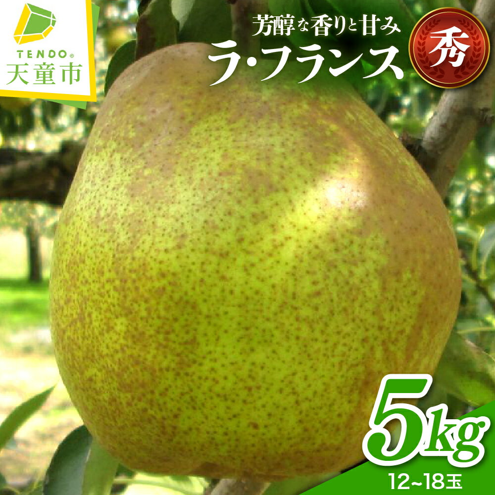 ラフランス 5kg 秀 (12～18玉) ラ・フランス 洋梨 西洋梨 果物 フルーツ ご家庭用 贈答 ギフト プレゼント おすそ分け お取り寄せ 旬 秋 冬 期間限定 山形 産地直送 送料無料 先行予約 【 山形県 天童市 】