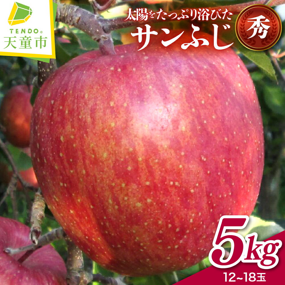 りんご （ サンふじ ） 5kg リンゴ 秀 12 〜 18 玉 果物 フルーツ 家庭用 贈答 ギフト プレゼント おすそ分け お取り寄せ 秋 旬 冬 期間限定 産地直送 送料無料 先行予約 【 山形県 天童市 】