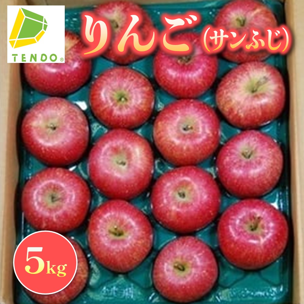 りんご サンふじ 5kg 令和8年産 先行予約 2026年 ふじ りんご 果物 フルーツ 秀 16玉 〜 18玉 のし 贈答 ギフト プレゼント おすそ分け お取り寄せ 旬 秋 冬 期間限定 送料無料 【 山形県 天童市 】