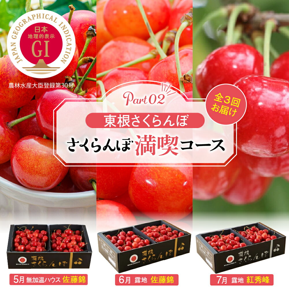 ［ 定期便 3回 ］ 2026年産 先行予約 GI東根さくらんぼ さくらんぼ 満喫 コースPart2 (2026年5月下旬～6月上旬頃スタート)/ 佐藤錦 紅秀峰 サクランボ くだもの フルーツ 化粧箱 セット 詰め合わせ 大容量 産地直送 山形県 東根市