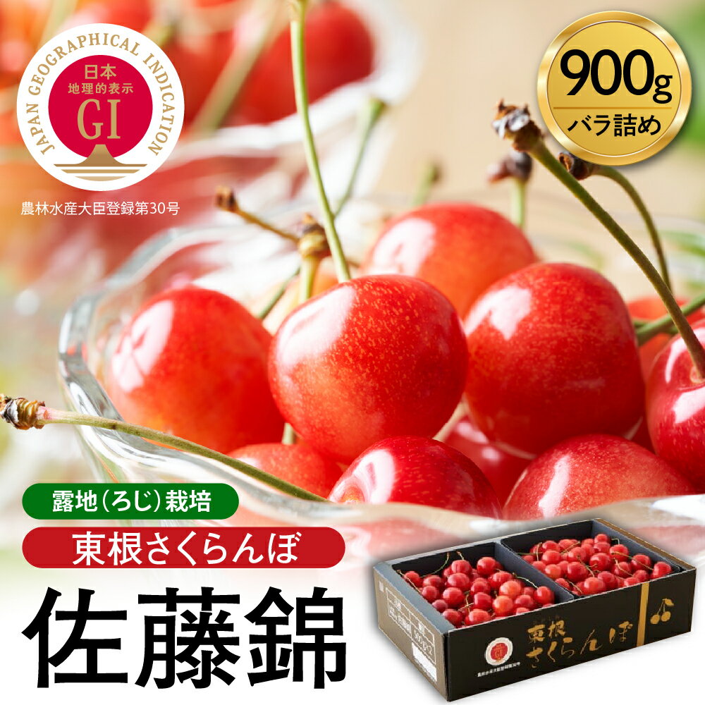 【2026年産 先行予約】★ランキング 1位 獲得★ GI東根 さくらんぼ 佐藤錦 900g バラ詰め / 令和8年産 さくらんぼ サクランボ チェリー フルーツ 果物 くだもの 化粧箱 大容量 ご当地 特産 産地直送 先行予約 期間限定 送料無料 山形県 東根市