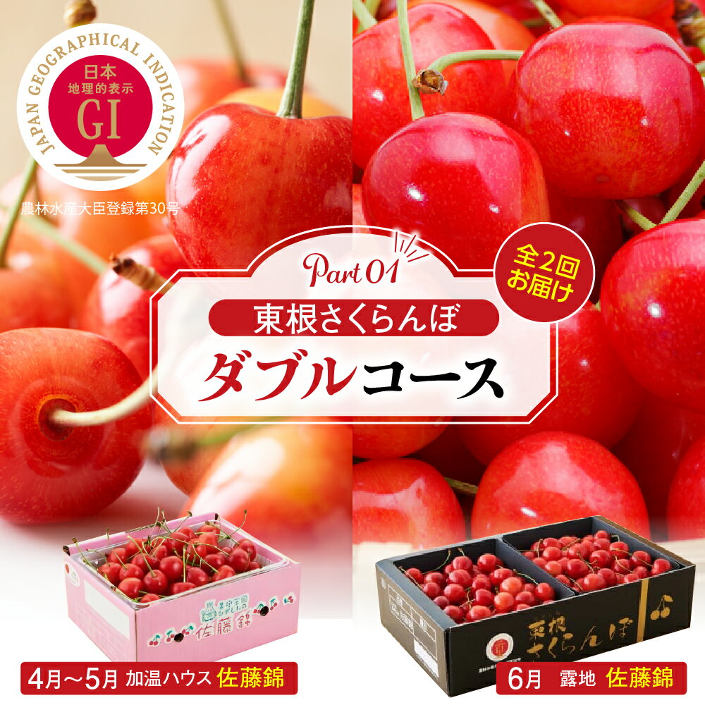 【2026年産 先行予約】東根 さくらんぼ ダブルコース (佐藤錦 加温 500g 佐藤錦 露地 900g) 令和8年産 フルーツ 2回 定期便 GI 果物 くだもの 期間限定 バラ お取り寄せ ご当地 産地直送 ハウス栽培 温室 人気 露地 ハウス 送料無料 東北 山形県 東根市