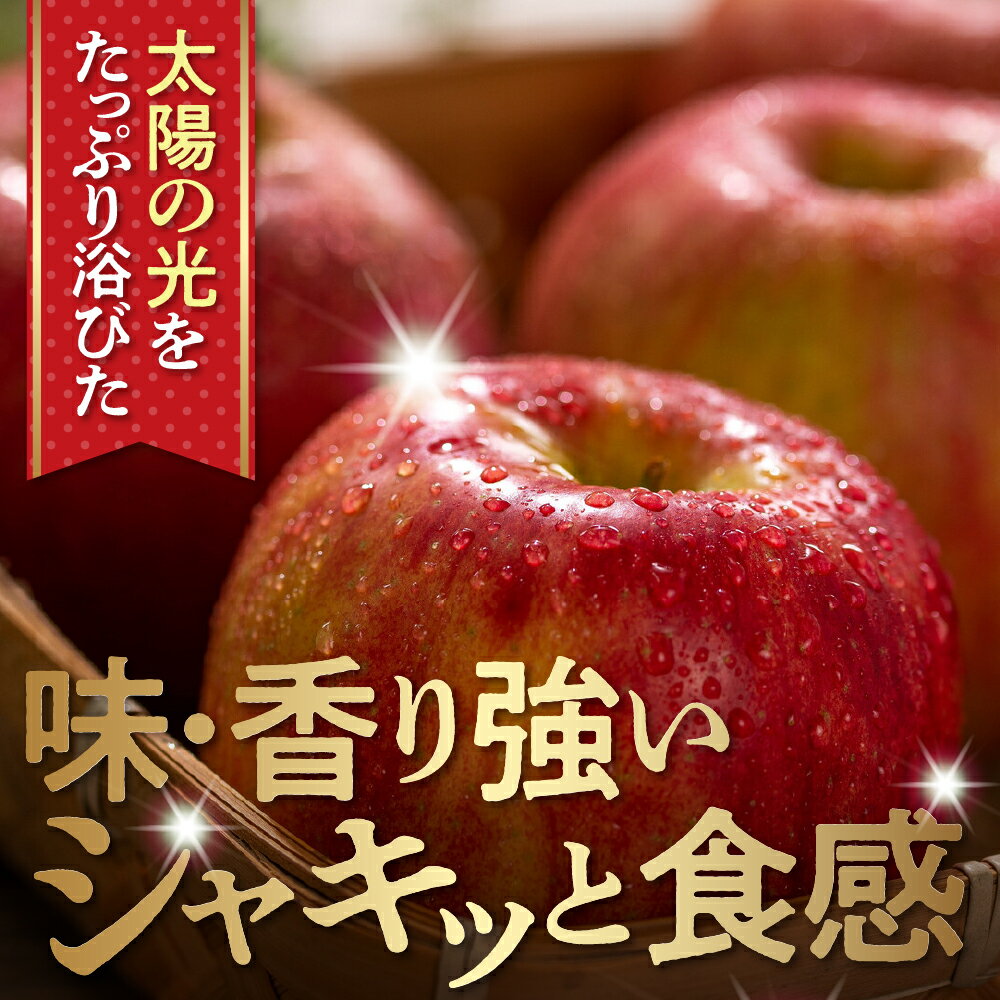 【ふるさと納税】2025年産 りんご【横綱】サンふじ 5kg 糖度15度以上 光センサー選別 / フルーツ 果物 くだもの 秋 旬 りんご リンゴ 林檎 山形県 東根市 サムネイル3