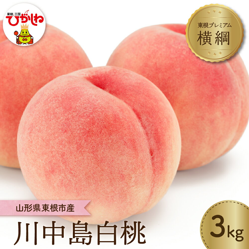 【 2026年産 先行予約 】 もも【横綱】川中島白桃 3kg JA提供 糖度計 高糖度 光センサー選別 / 桃 白桃 フルーツ 果物 くだもの 箱入り 化粧箱 期間限定 大容量 冷蔵配送 先行予約 取り寄せ グルメ ご当地 特産 産地 直送 送料無料 山形県 東根市