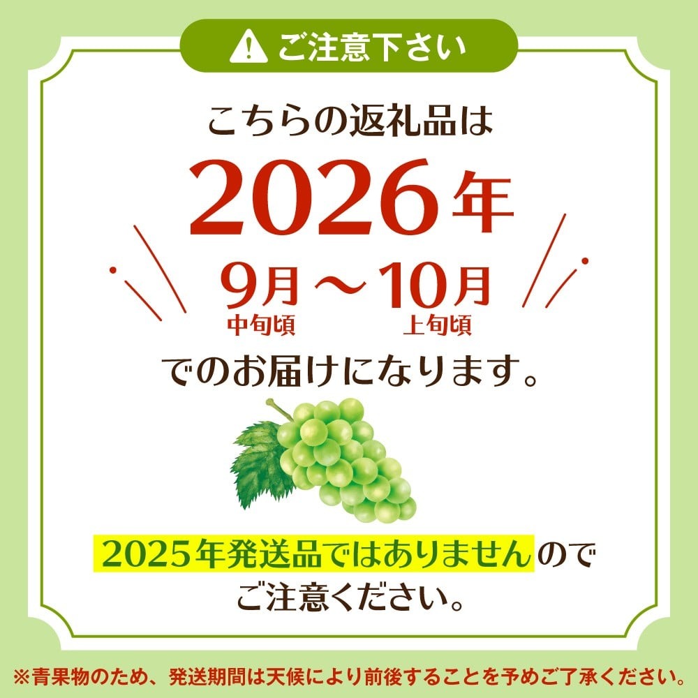 【ふるさと納税】2026年 先行予約 ぶどう「 シャインマスカット 」( 選べる内容量 : 1房 /2房 )/ マスカット ブドウ 葡萄 フルーツ 果物 くだもの 果実 化粧箱 お取り寄せグルメ 期間限定 産地直産 ご当地 お取り寄せ グルメ 東北 山形県 東根市 サムネイル2