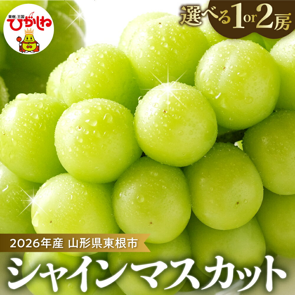 2026年 先行予約 ぶどう「 シャインマスカット 」( 選べる内容量 : 1房 /2房 )/ マスカット ブドウ 葡萄 フルーツ 果物 くだもの 果実 化粧箱 お取り寄せグルメ 期間限定 産地直産 ご当地 お取り寄せ グルメ 東北 山形県 東根市