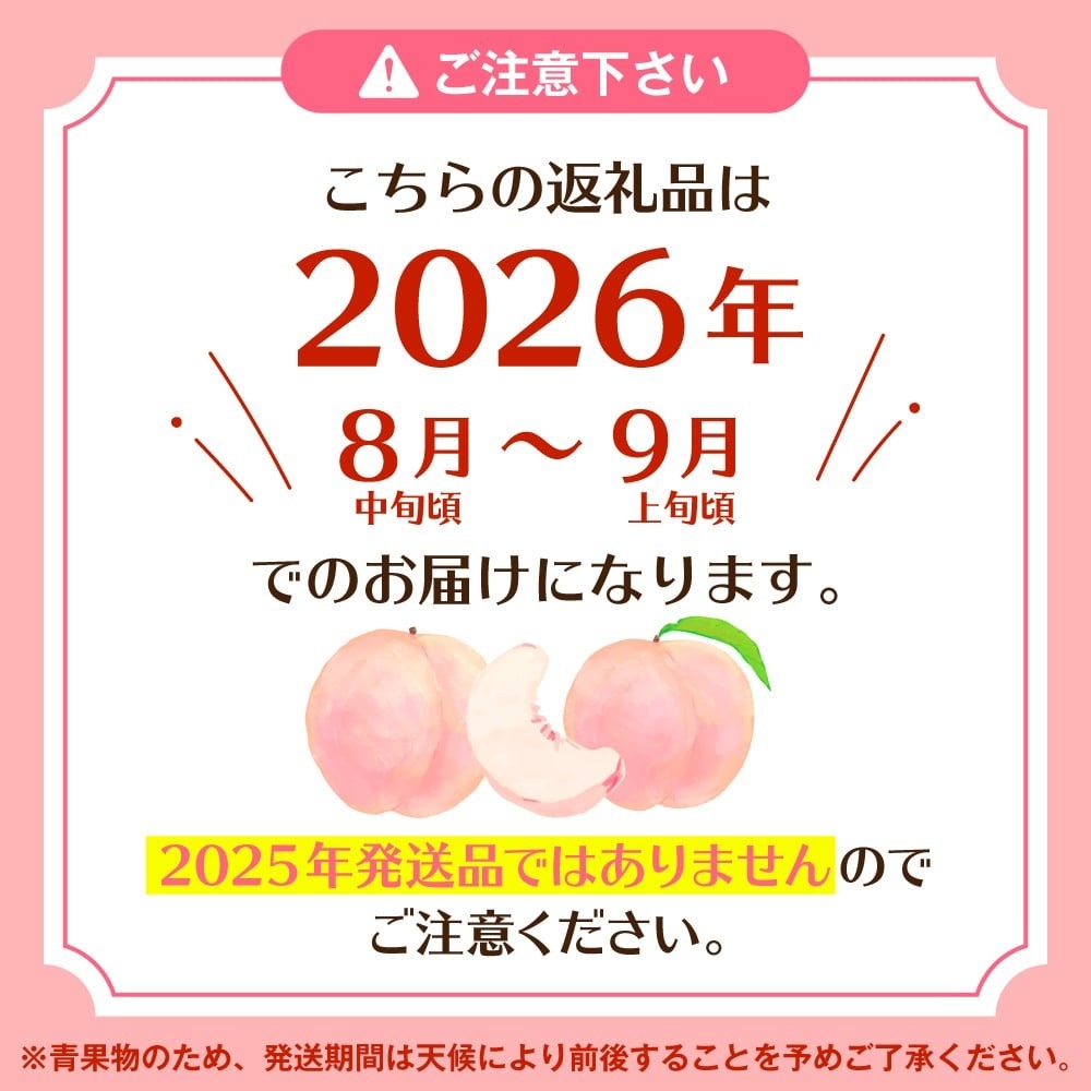 【ふるさと納税】 先行予約 2026年産 もも 川中島白桃 5kg / 桃 フルーツ 果物 くだもの 川中島 白桃 期間限定 大容量 冷蔵配送 お取り寄せ ご当地 特産 産地直送 送料無料 東北 山形県 東根市 サムネイル2