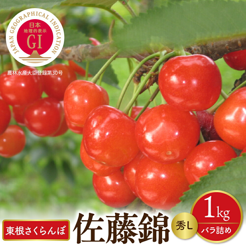 【 2026年産 先行予約 】GI 東根 さくらんぼ 佐藤錦 秀L 1kg バラ詰め ( 500g ×2P ) フルーツ 果物 チェリー 期間限定 先行受付 バラ 1キロ 取り寄せ グルメ ご当地 特産 産地直送 冷蔵 送料無料 東北 山形 東根市 《6/10～6/29順次出荷予定》