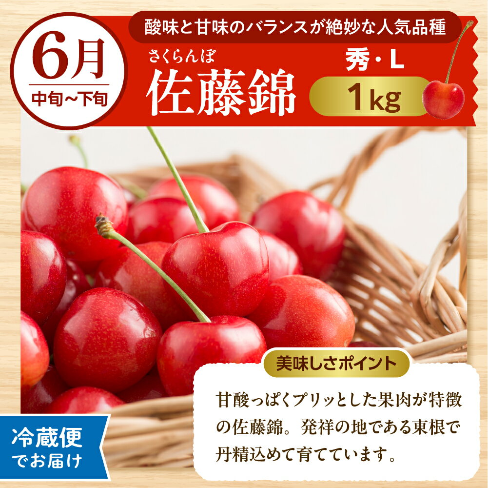 【ふるさと納税】［ 定期便 7回 ］晴天の恵み！ひがしねフルーツ祭定期便！全7回 (2026年6月中旬からスタート)2026年産 さくらんぼ 佐藤錦 紅秀峰 桃 白桃 黄桃 シャインマスカット ラフランス サンふじ フルーツ 果物 セット 数量限定 産地直送 山形県 東根市 サムネイル3