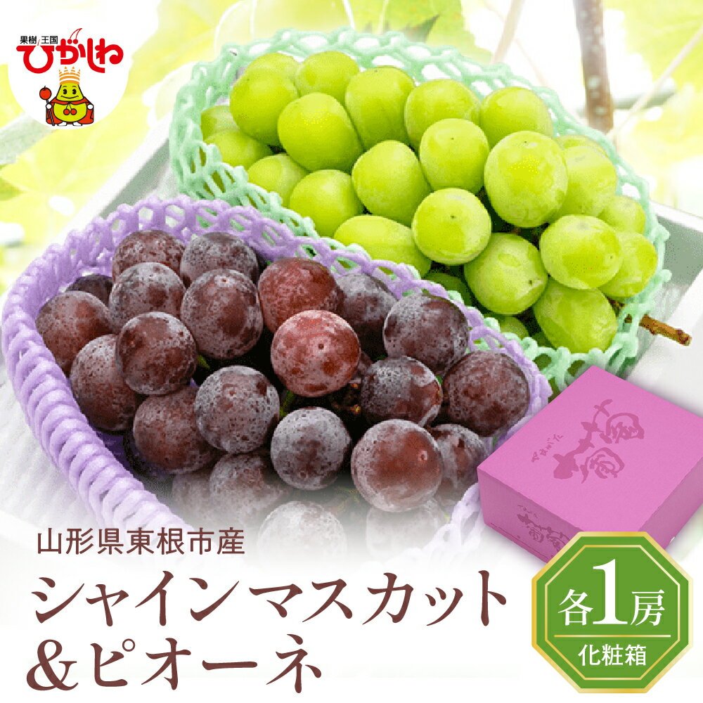 2026年 ぶどう「 シャインマスカット ＆ ピオーネ 」秀品 各1房 計 2房 約 1.2kg | ブドウ 葡萄 フルーツ 果物 くだもの 先行受付 先行予約 令和8年産 期間限定 箱入り 化粧箱 産地直産 ご当地 お取り寄せグルメ 秋 旬 お取り寄せ 東北 山形県 東根市産