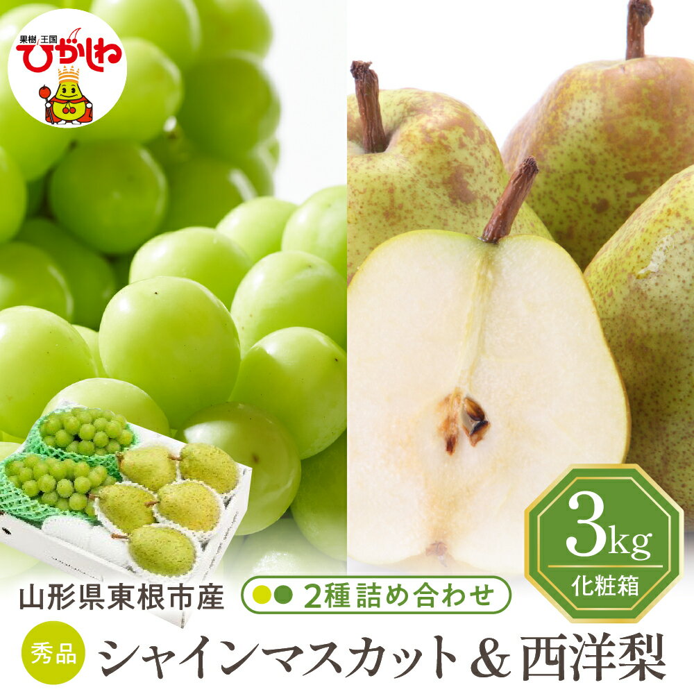 2026年 先行予約 シャインマスカット 西洋梨 3kg 詰め合わせ | 葡萄 ブドウ ぶどう マスカット 洋梨 洋ナシ フルーツ くだもの 果物 セット 箱入り 化粧箱 期間限定 大容量 先行予約 取り寄せ グルメ ご当地 特産 産地 直送 送料無料 山形県 東根市