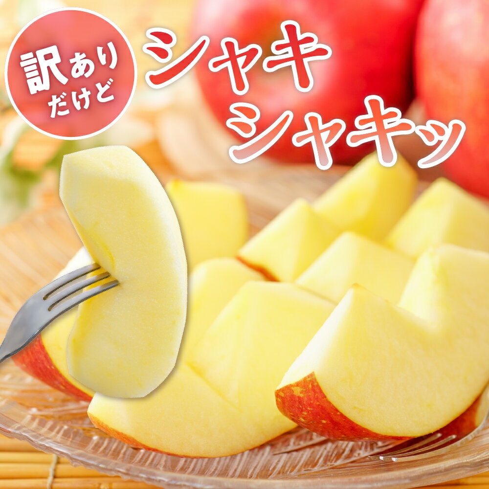 【ふるさと納税】 令和7年産 訳あり りんご サンふじ ( 選べる : 4.5kg / 9.5kg )/ リンゴ アップル さんふじ 家庭用 傷 規格外 不揃い フルーツ 果物 くだもの 化粧箱 期間限定 産地直産 ご当地 お取り寄せグルメ 大容量 送料無料 国産 東北 山形県 東根市 サムネイル2