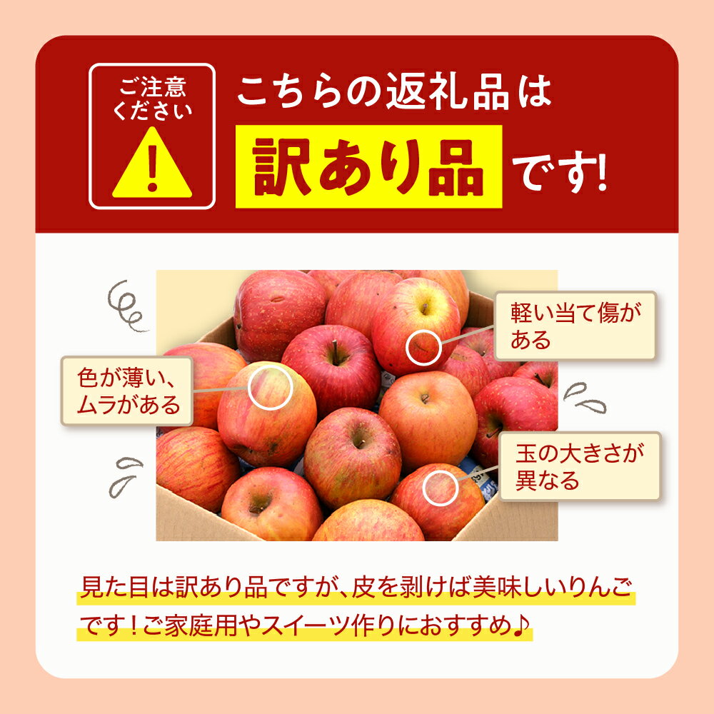 【ふるさと納税】 令和7年産 訳あり りんご サンふじ ( 選べる : 4.5kg / 9.5kg )/ リンゴ アップル さんふじ 家庭用 傷 規格外 不揃い フルーツ 果物 くだもの 化粧箱 期間限定 産地直産 ご当地 お取り寄せグルメ 大容量 送料無料 国産 東北 山形県 東根市 サムネイル3
