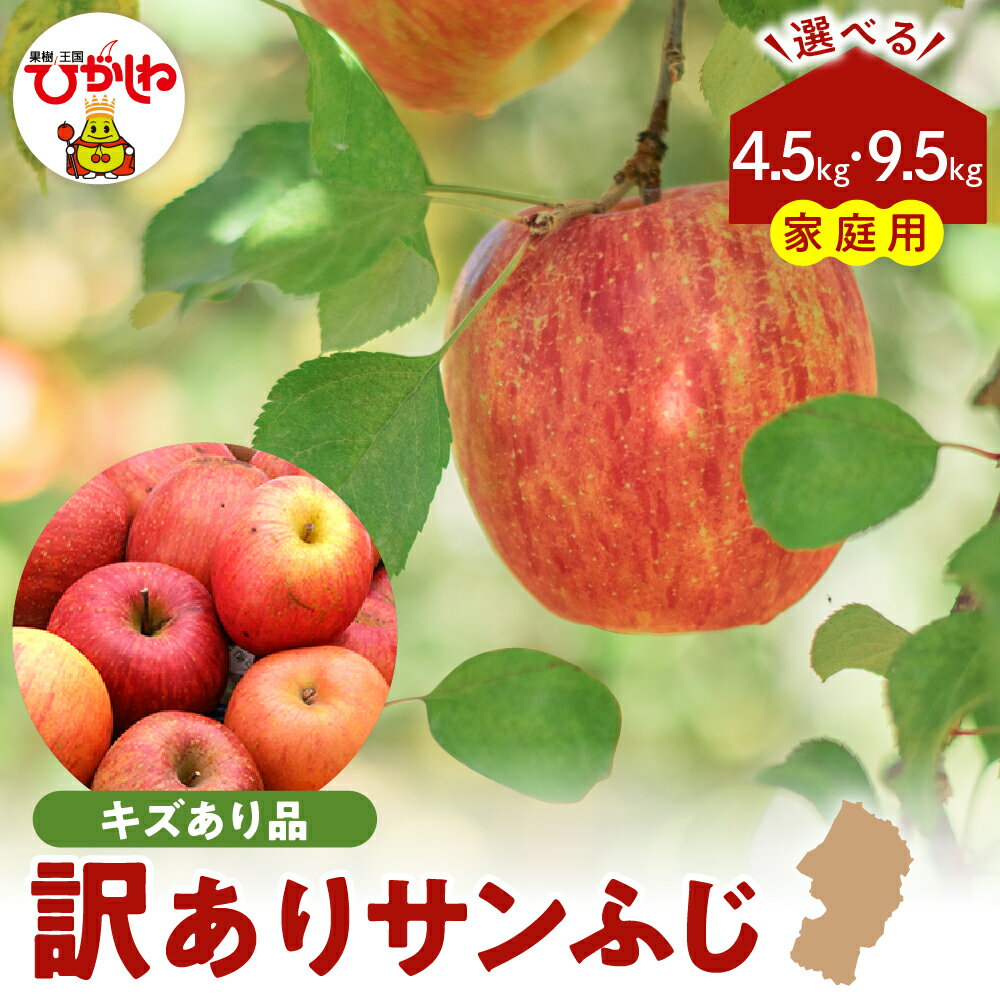 令和7年産 訳あり りんご サンふじ ( 選べる : 4.5kg / 9.5kg )/ リンゴ アップル さんふじ 家庭用 傷 規格外 不揃い フルーツ 果物 くだもの 化粧箱 期間限定 産地直産 ご当地 お取り寄せグルメ 大容量 送料無料 国産 東北 山形県 東根市