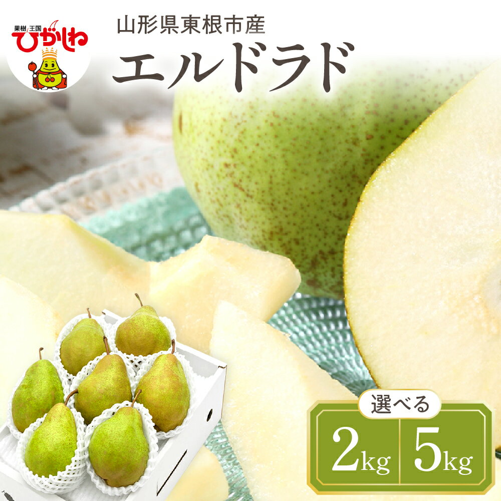 【令和7年産 先行予約】 西洋梨 エルドラド ( 選べる内容量 : 2kg / 5kg ) 秀品 化粧箱入り / 洋なし 洋梨 洋ナシ フルーツ 果物 くだもの 化粧箱 期間限定 産地直産 ご当地 お取り寄せグルメ 送料無料 国産 東北 山形県 東根市