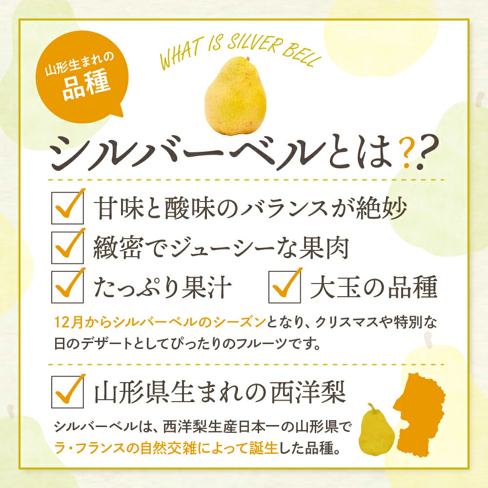 【ふるさと納税】【令和7年産 先行予約】 西洋梨 シルバーベル ( 選べる内容量 : 2kg / 5kg ) 秀品 化粧箱入り / 洋なし 洋梨 洋ナシ フルーツ 果物 くだもの 化粧箱 期間限定 産地直産 ご当地 お取り寄せグルメ 送料無料 国産 東北 山形県 東根市 サムネイル3