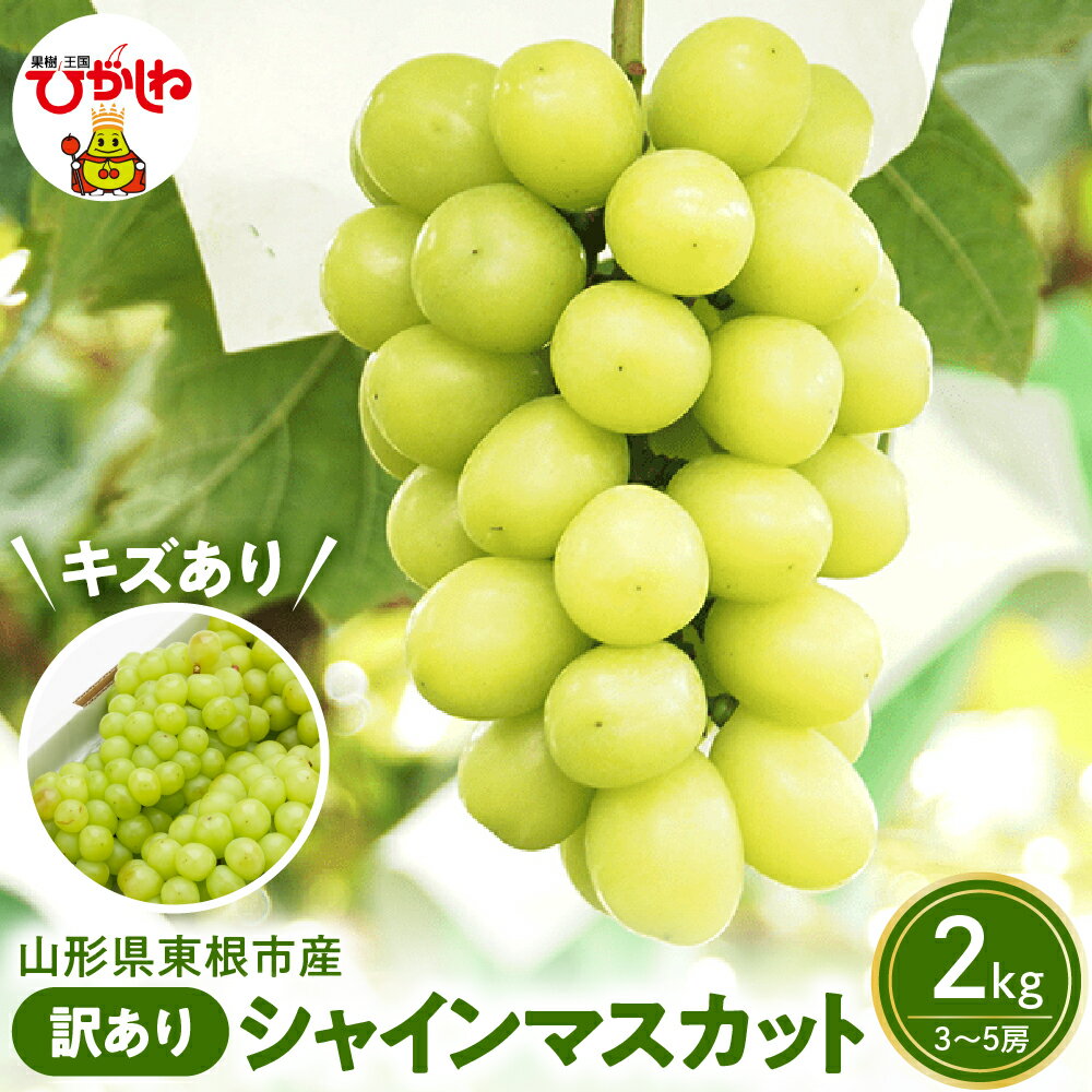 2026年産 先行予約 ぶどう 訳あり シャインマスカット 2kg (3～5房) | 訳アリ 葡萄 ブドウ マスカット 令和8年 先行受付 小粒 不揃い 果物 フルーツ くだもの 冷蔵配送 お取り寄せ グルメ ご当地 産地直送 送料無料 ご家庭用 山形県 東根市