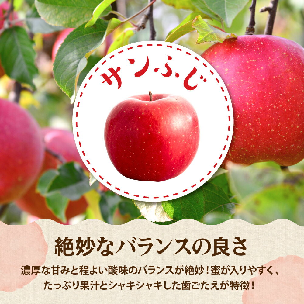 【ふるさと納税】2026年産 サンふじ シナノゴールド ラフランス 3種 ( 選べる: 3kg / 5kg )| りんご 林檎 リンゴ 西洋梨 洋ナシ 洋なし フルーツ 果物 くだもの セット 限定 お取り寄せ 送料無料 山形 産地直送 山形県 東根市 - 画像3