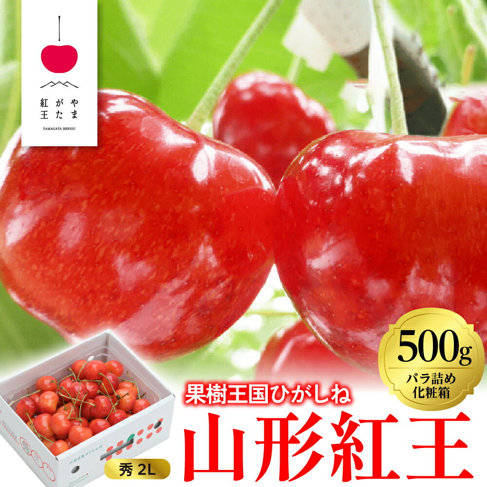 2026年 さくらんぼ 「 やまがた紅王 」500g バラ詰め 秀品 2Lサイズ | 先行予約 フルーツ 果物 箱入り 化粧箱 お取り寄せ 贈り物 ギフト 贈答 冷蔵 期間限定 季節限定 冷蔵配送 送料無料 東北 山形県 東根市