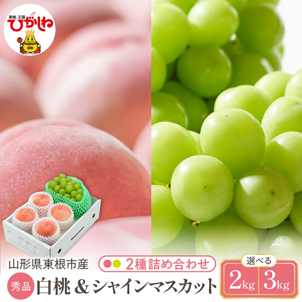 2026年 先行予約 白桃 & シャインマスカット 詰め合わせ ( 選べる : 約 2kg / 約 3kg )| 桃 品種おまかせ ぶどう 葡萄 マスカット フルーツ くだもの 果物 セット 箱入り 化粧箱 期間限定 大容量 先行予約 取り寄せ ご当地 特産 産地 直送 送料無料
