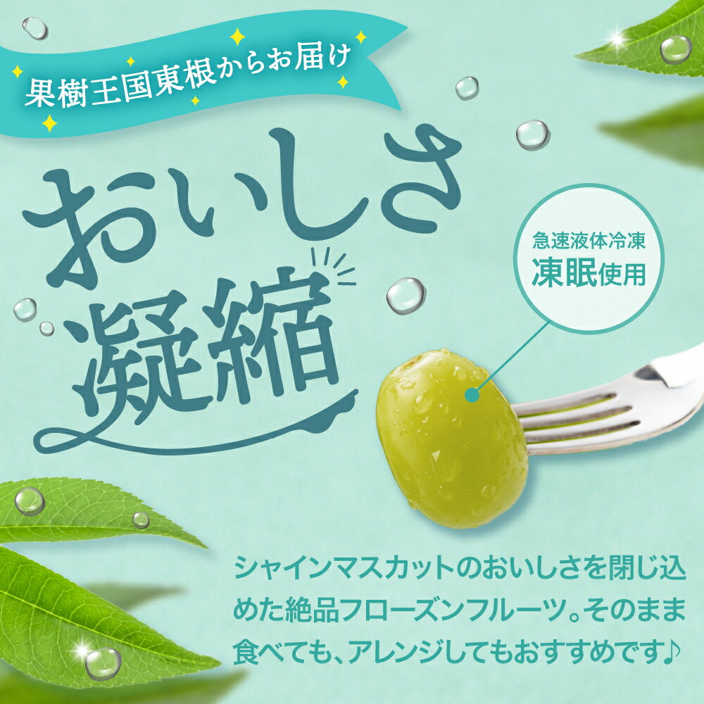 【ふるさと納税】【瞬間冷凍】 シャインマスカット ( 100g × 1袋 ) ( 500g × 1袋 ) | 冷凍マスカット 冷凍フルーツ マスカット 果物 くだもの デザート おやつ アイス フローズン スムージー シェイク 冷凍便 冷凍 冷凍食品 送料無料 国産 山形県 東根市 サムネイル3