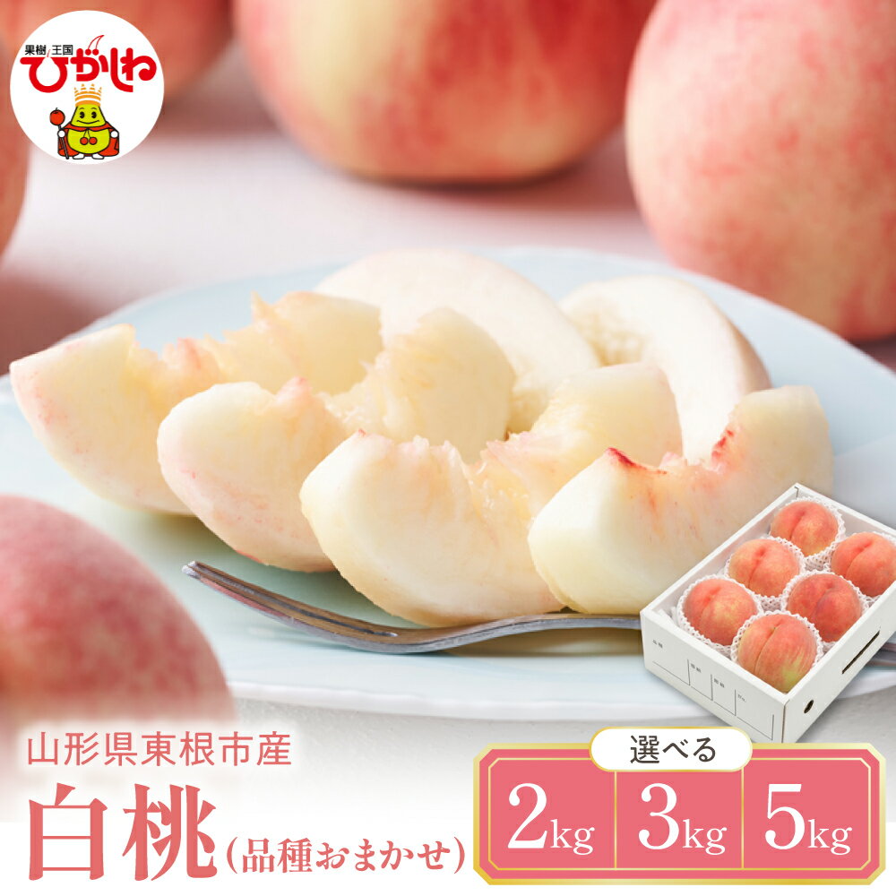 2026年産 先行予約 白桃 品種おまかせ ( 選べる内容量 2kg 3kg 5kg ) | 桃 もも モモ ピーチ フルーツ 果物 くだもの 大容量 セット 詰め合わせ 冷蔵配送 期間限定 先行予約 人気 おすすめ 箱入り 化粧箱 ギフト 贈答 送料無料 東北 山形県 東根市