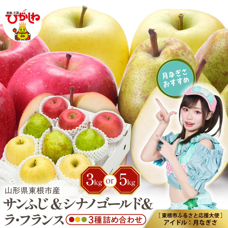 2026年産 サンふじ シナノゴールド ラフランス 3種 ( 選べる: 3kg / 5kg )| りんご 林檎 リンゴ 西洋梨 洋ナシ 洋なし フルーツ 果物 くだもの セット 限定 お取り寄せ 送料無料 山形 産地直送 山形県 東根市