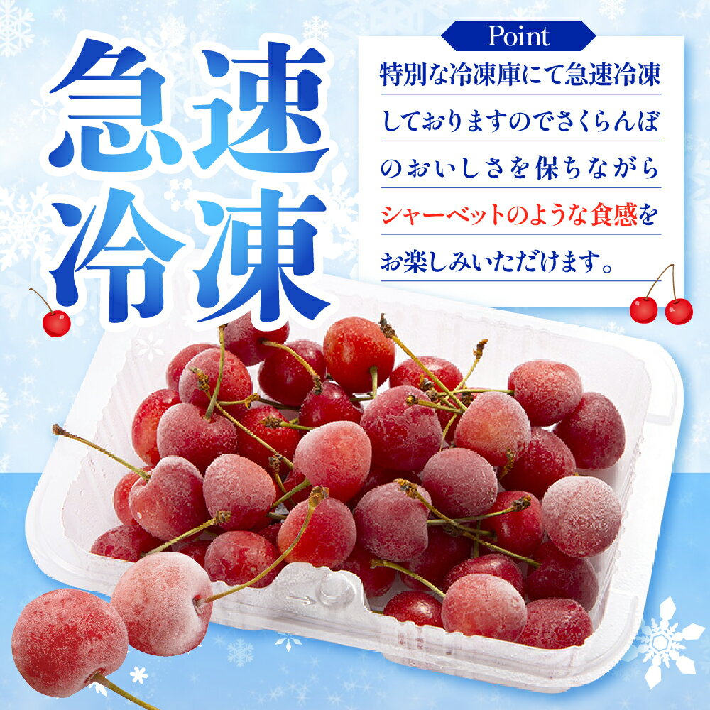 【ふるさと納税】 フローズン さくらんぼ 紅てまり 2L ( 選べる :200g 1パック / 2パック )/ 冷凍 冷凍フルーツ 冷凍さくらんぼ 急速冷凍 サクランボ フルーツ 果物 くだもの デザート シャーベット トッピング 国産 産地直送 お取り寄せ 送料無料 山形県 東根市 サムネイル3
