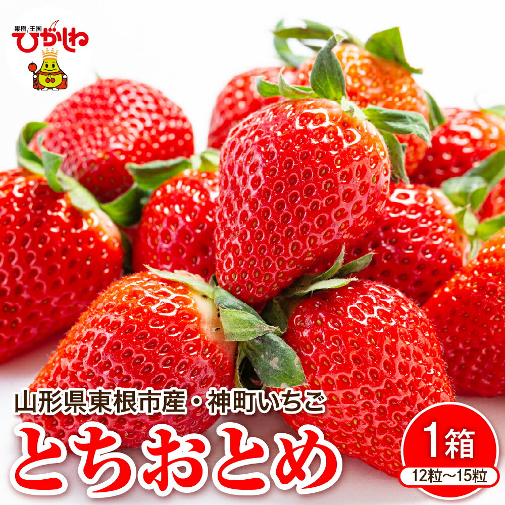 【 令和8年産 先行予約 】 神町 いちご ( とちおとめ ) 12粒～15粒 / 苺 イチゴ ストロベリー フルーツ 果物 くだもの 期間限定 冷蔵配送 先行予約 お取り寄せ グルメ ご当地 特産 産地 直送 農家直送 産地直送 送料無料 山形県 東根市