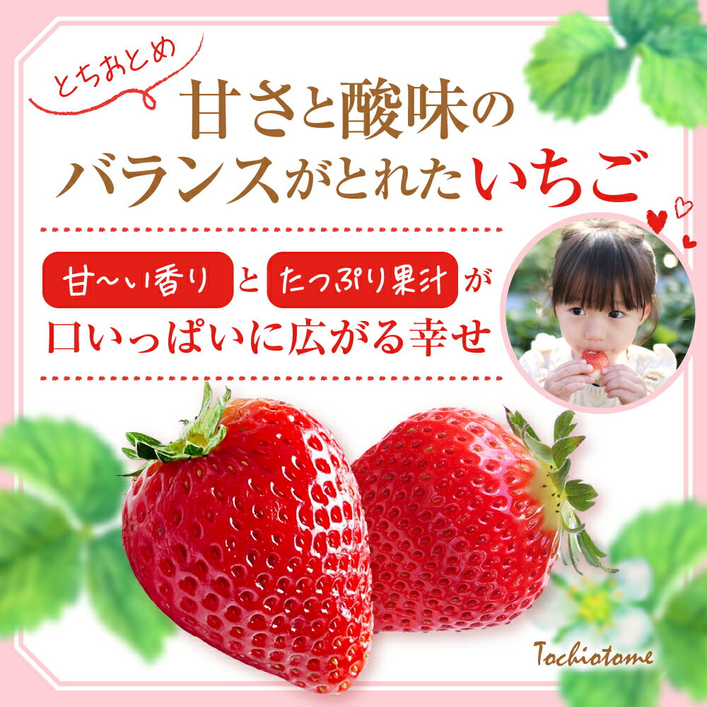 【ふるさと納税】【 令和8年産 先行予約 】 神町 いちご ( とちおとめ ) 12粒～15粒 / 苺 イチゴ ストロベリー フルーツ 果物 くだもの 期間限定 冷蔵配送 先行予約 お取り寄せ グルメ ご当地 特産 産地 直送 農家直送 産地直送 送料無料 山形県 東根市 サムネイル3