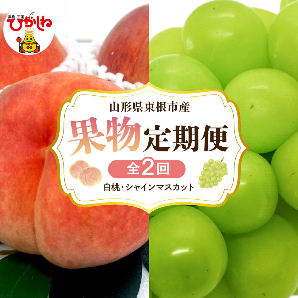 ［定期便 全2回］ 2026年 先行予約 桃 シャインマスカット 果物定期便 ( 玉数、房数お任せ ) もも 白桃 ぶどう マスカット フルーツ 果物 くだもの お取り寄せ グルメ ご当地 特産 産地 直送 送料無料 山形 東根市