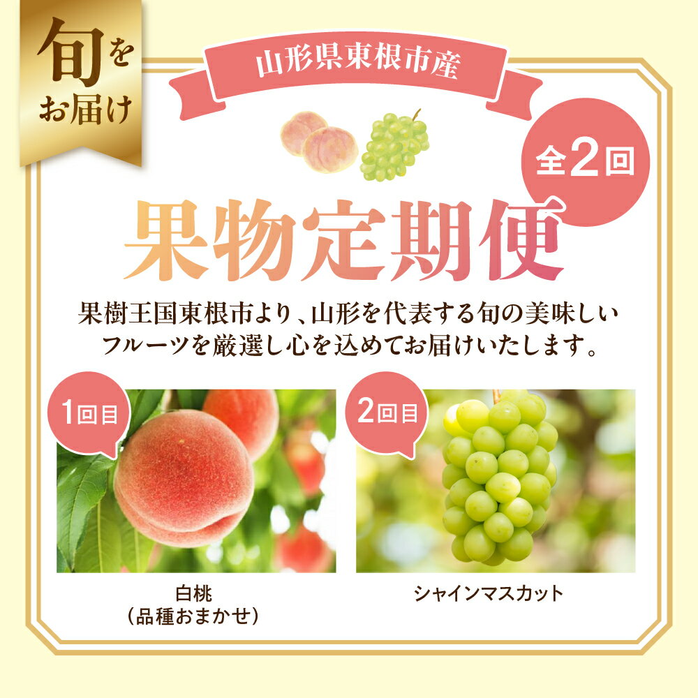 【ふるさと納税】［定期便 全2回］ 2026年 先行予約 桃 シャインマスカット 果物定期便 ( 玉数、房数お任せ ) もも 白桃 ぶどう マスカット フルーツ 果物 くだもの お取り寄せ グルメ ご当地 特産 産地 直送 送料無料 山形 東根市 サムネイル2