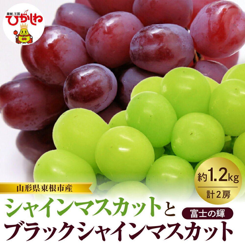 2026年産 先行予約 シャインマスカット と ブラックシャインマスカット 富士の輝 詰め合わせ 約 1.2kg ぶどう マスカット フルーツ 果物 くだもの お取り寄せ グルメ ご当地 特産 産地 直送 送料無料 山形 東根市