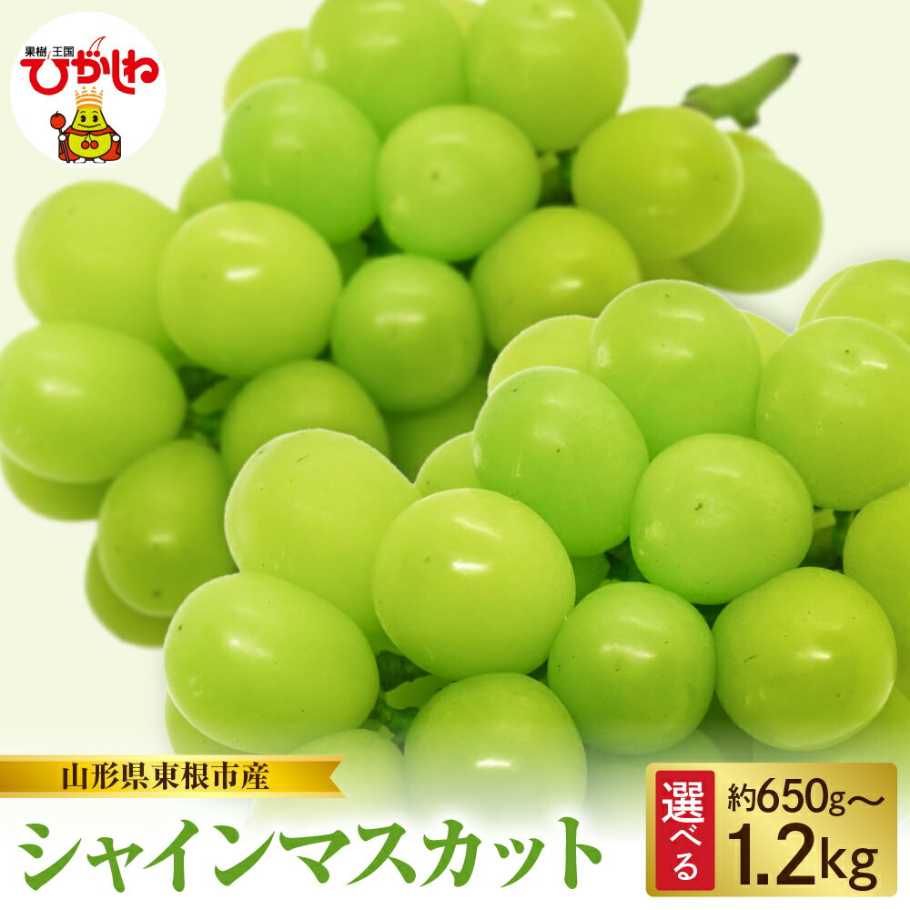 2026年産 先行予約 ぶどう シャインマスカット ( 選べる内容量 : 約650g / 約850g / 約1kg / 約1.2kg ) シャイン マスカット フルーツ 果物 くだもの 期間限定 お取り寄せ グルメ ご当地 特産 産地 直送 送料無料 東北 山形県 東根市