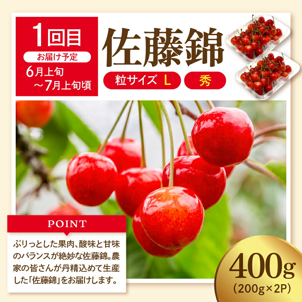 【ふるさと納税】［ 定期便 全4回 ］2026年 先行予約 フルーツ王国 5種味覚の旅便 | さくらんぼ 佐藤錦 桃 もも モモ 白桃 ぶどう シャインマスカット ラフランス りんご ふじりんご フルーツ 果物 くだもの 取り寄せ グルメ ご当地 産地直送 送料無料 山形 東根市 サムネイル3