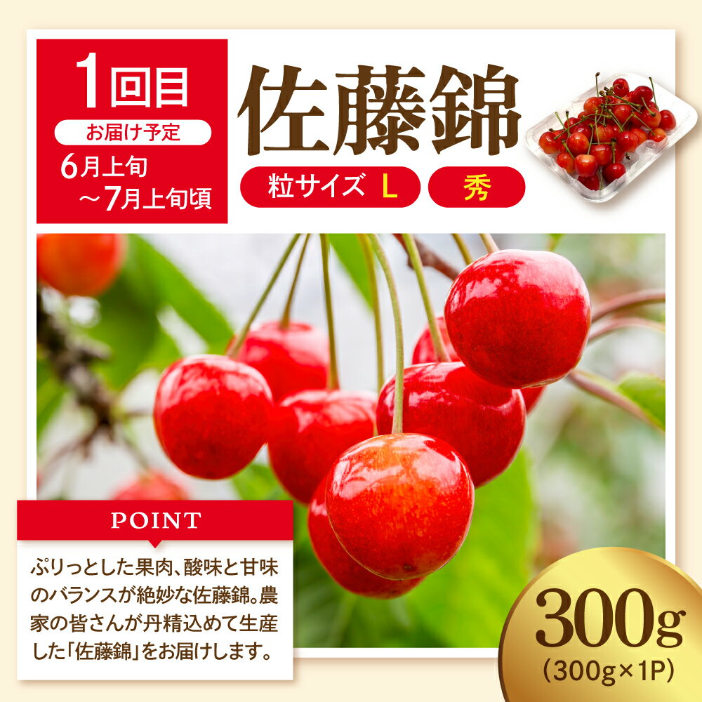 【ふるさと納税】［ 定期便 全3回 ］ 2026年 先行予約 フルーツ王国 三大人気定期便 |さくらんぼ 佐藤錦 桃 もも モモ 白桃 ぶどう シャインマスカット フルーツ 果物 くだもの 取り寄せ グルメ ご当地 産地直送 送料無料 山形 東根市 サムネイル3