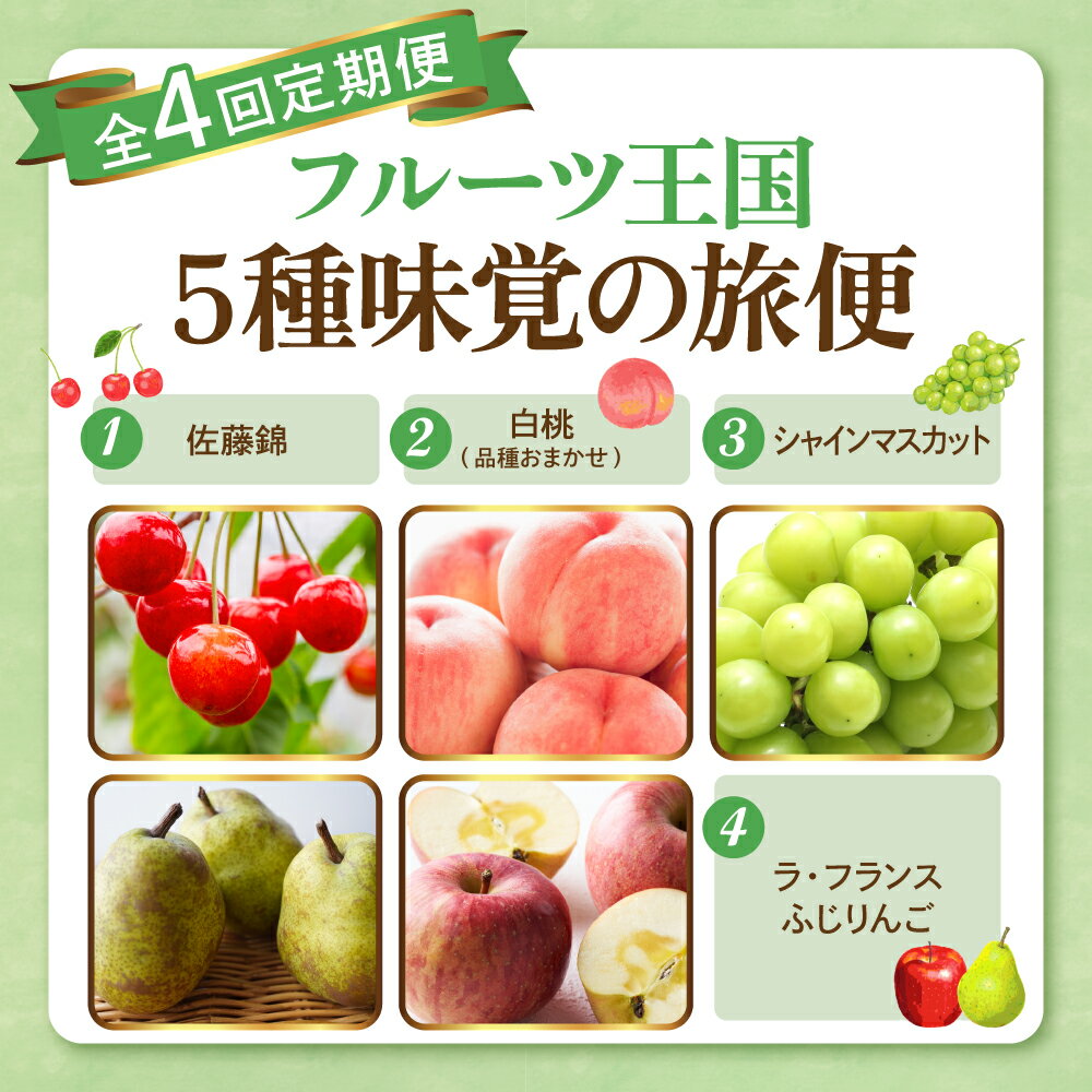 【ふるさと納税】［ 定期便 全4回 ］2026年 先行予約 フルーツ王国 5種味覚の旅便 | さくらんぼ 佐藤錦 桃 もも モモ 白桃 ぶどう シャインマスカット ラフランス りんご ふじりんご フルーツ 果物 くだもの 取り寄せ グルメ ご当地 産地直送 送料無料 山形 東根市 サムネイル2