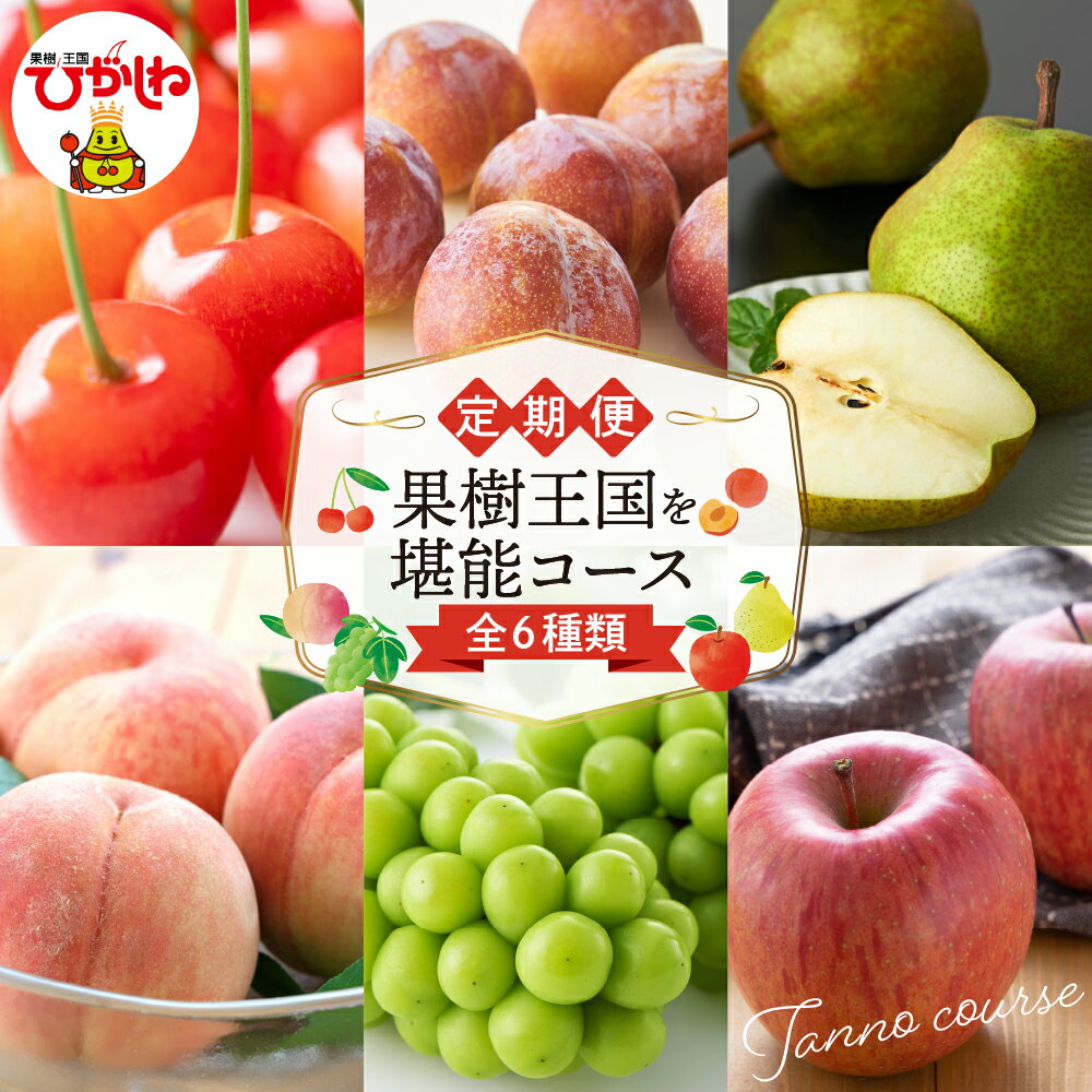 【 2026年 先行予約 6回 定期便 】 果樹王国を堪能コース (2026年6月中旬頃からスタート)/ 果物 くだもの フルーツ さくらんぼ 佐藤錦 桃 すもも 秋姫 ぶどう シャインマスカット りんご サンふじ 産地直送 期間限定 お取り寄せ 山形県 東根市